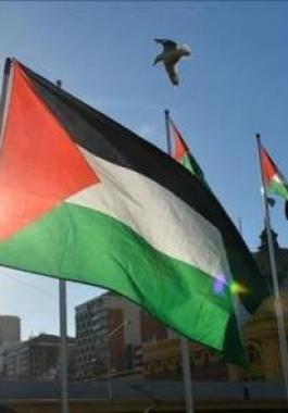 التمييز العنصري