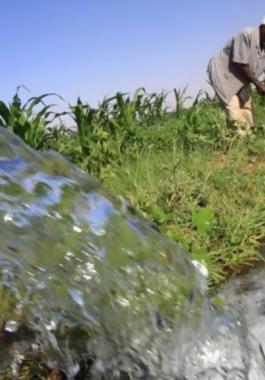 البنك الدولي: يقدم كافة المساعدات 