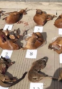 شاهدوا: مستمر في 