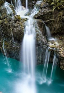 بالفيديو: ما هي أنواع 