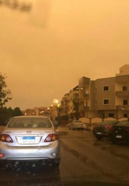 عاصفة التنين