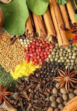 بالفيديو: اسماء وصور 