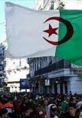 الجزائر: الحكومة توافق على زيادة 