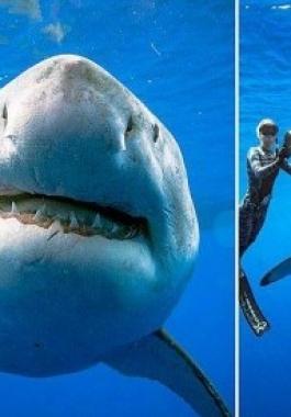 بالفيديو: مواجهة وشيكة بين 