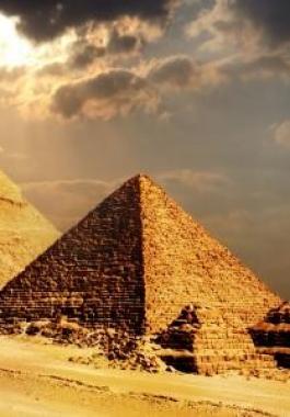 شاهدوا: العثور على هاتف محمول في معدة مواطن مصري