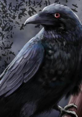 العلماء: يثبتون قدرة 