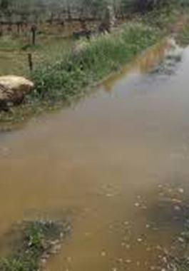مستوطنون يغرقمون أراضي المواطنين بالمياه العادمة في نابلس