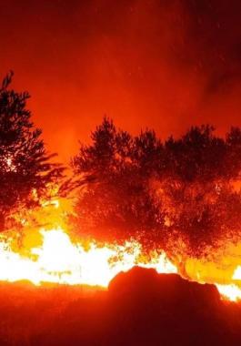 لهذا السبب.. سلطة إطفاء الاحتلال تُقرر رفع حالة التأهب القصوى يوم غد الجمعة