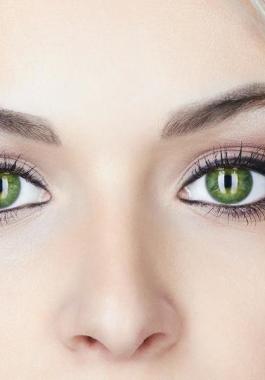 شاهدي: اليكِ 