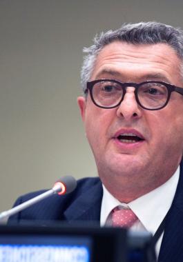 المفوض العام