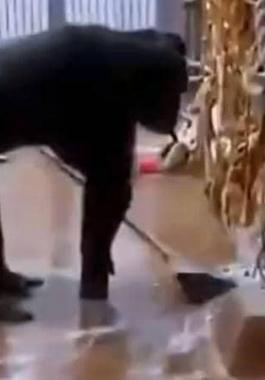 بالفيديو: مشهد مذهل 
