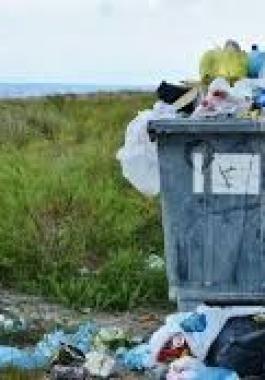 جريمة بشعة: ألقت رضيعيها بالقمامة وكشفوا أمرها بعد 17 عاما