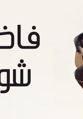 تحميل اغنية البوم حمزة نمرة الجديدة فاضي شوية mp3