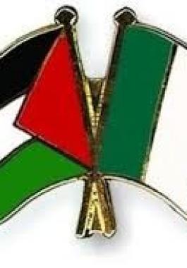 إيرلندا وفلسطين