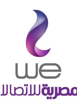 استعلام عن فاتورة التليفون الأرضي من المصرية للاتصالات بالاسم
