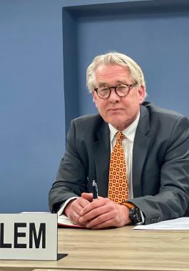 المبعوث الاممي