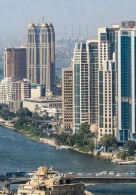 صورة | تفاصيل جديدة في جريمة قتل مسؤول مصري سابق وزوجته