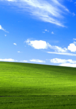 وأخيرا | تحديد المنطقة التي التقطت بها صورة 