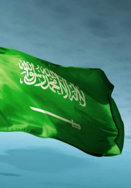 السعودية تُدين مجزرة الاحتلال في مخيم جنين