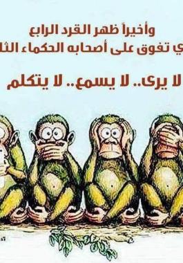 بالفيديو | ظهور القرد الرابع رفيق حكماء
