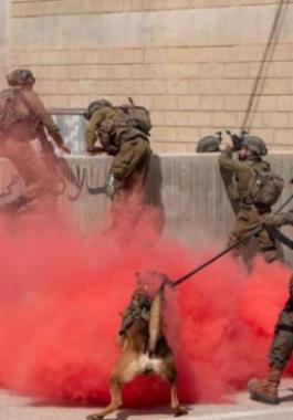 الاحتلال يجرى تدريبات تحاكي الحرب المقبلة ضد قطاع غزة