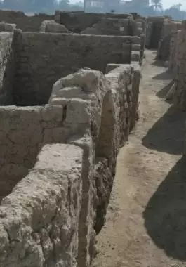 مصر.
