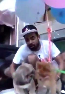 يوتيوبر يربط كلبه ببالونات الهليوم ويجعله يطير فى الهواء