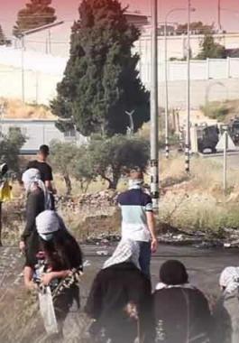 مواجهات البيرة