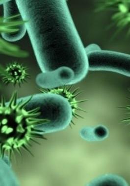 ما هي اعراض متحور فيروس هيهي المكتشف في الصين ؟