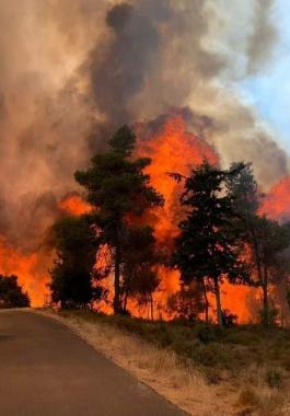 حريق في القدس.jpg