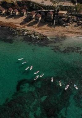 لبنان | هل تناول الأسماك في آمن؟