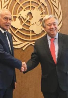 ابو الغيط وغوتيرش