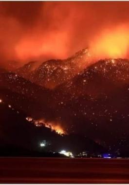 حرائق في الجزائر