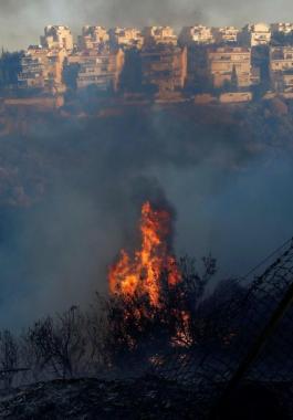 حريق قرب المستوطنات.jpg