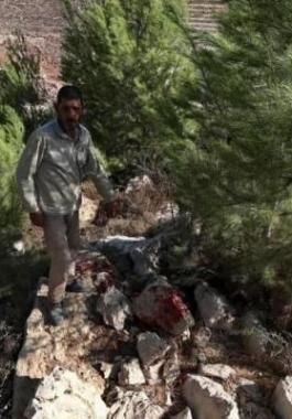 قناة عبرية: جيش الاحتلال يعثر على متفجرات تابعة لـ