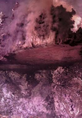 شاهدوا: العثور على 