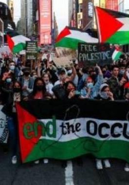 أمريكا: مظاهرات في عدة مدن تنديدًا بجرائم الاحتلال بحق الفلسطينيين