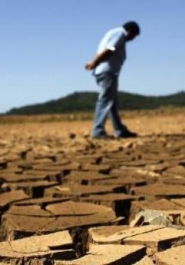 المغرب: إجراءات استثنائية لمواجهة الجفاف