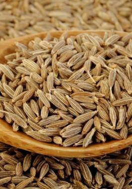 تنشيط المبايض