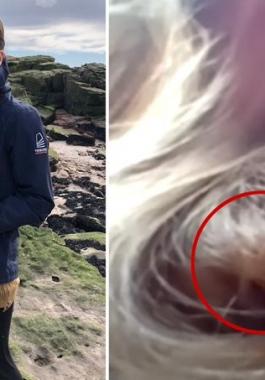 طائر يعشش في شعر امراة