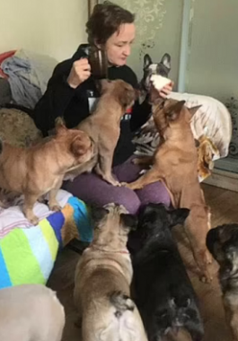 انقاذ الحيوانات