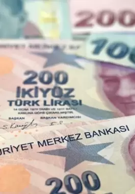 الليرة التركية تواصل التراجع بعد تصريحات أردوغان