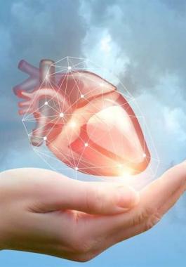 القلب و درجات الحرارة