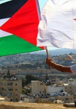 الجزائر وفلسطين