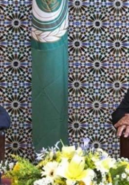 أبو الغيط ولافروف.jpg