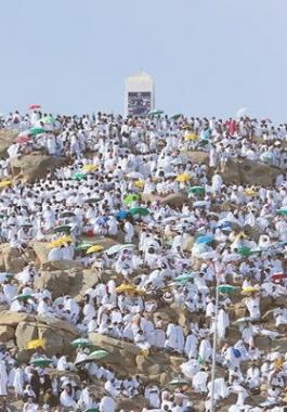 عرفة