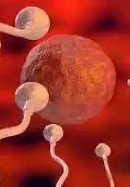 تلقيح