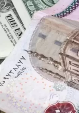 الجنيه المصري والدولار
