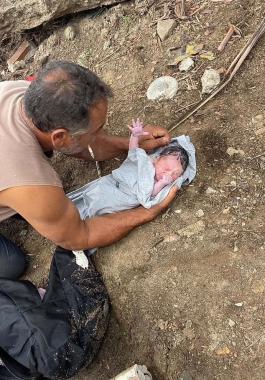 رضيعة برازيلية