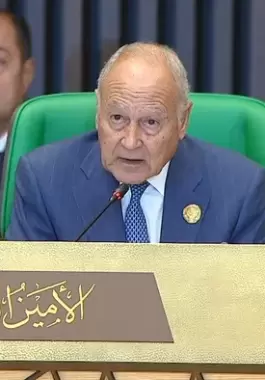 أبو الغيط: الدول العربية ستواصل حمل لواء الدفاع عن القضية الفلسطينية